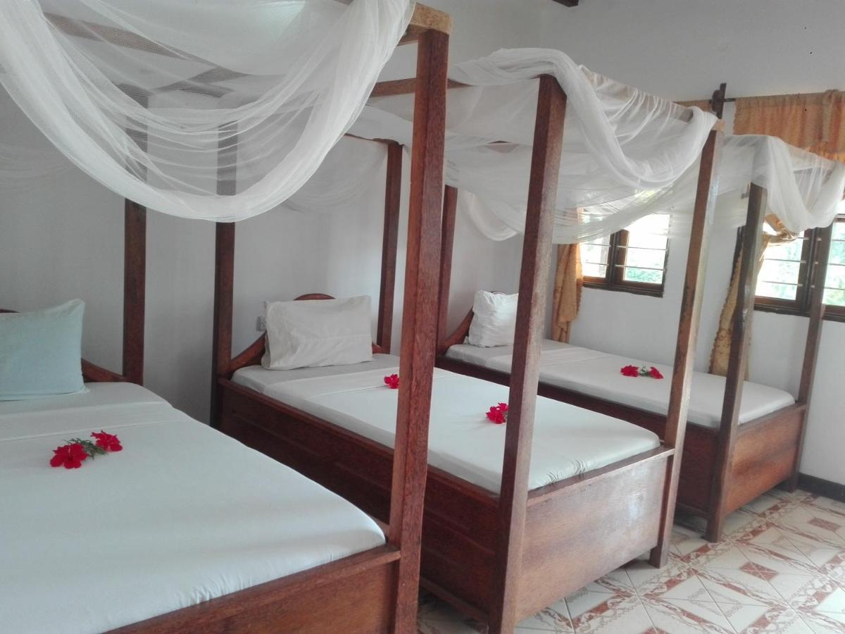 Ames Nungwi Bed & Breakfast Ngoại thất bức ảnh
