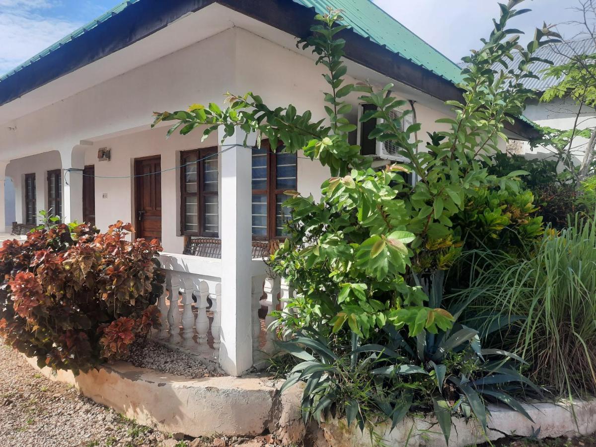 Ames Nungwi Bed & Breakfast Ngoại thất bức ảnh