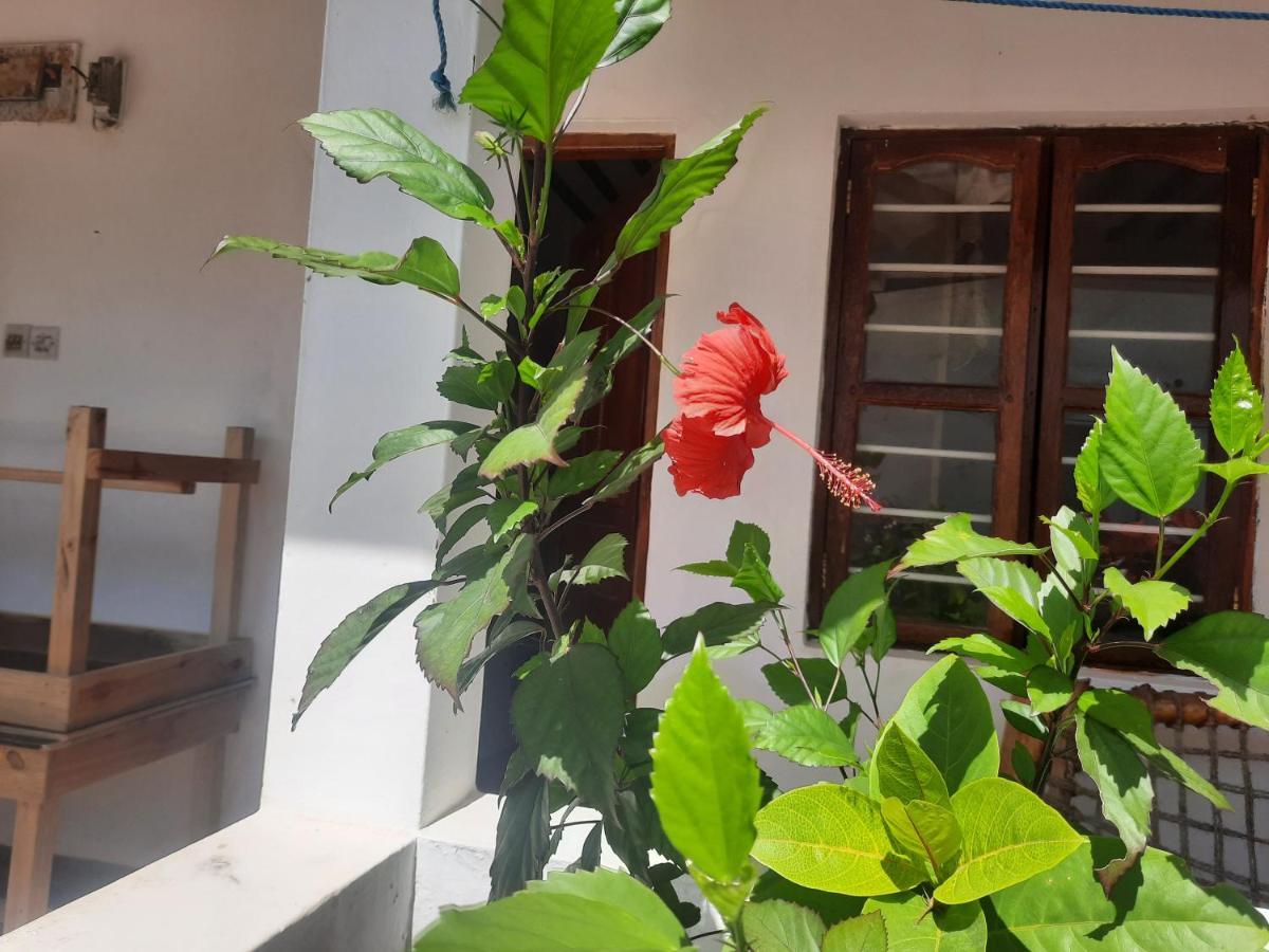 Ames Nungwi Bed & Breakfast Ngoại thất bức ảnh