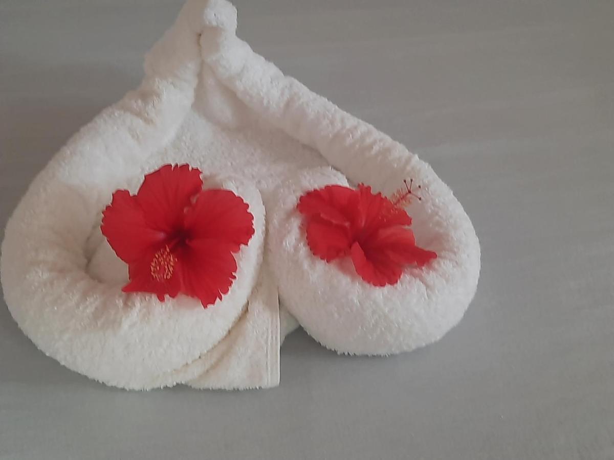 Ames Nungwi Bed & Breakfast Ngoại thất bức ảnh