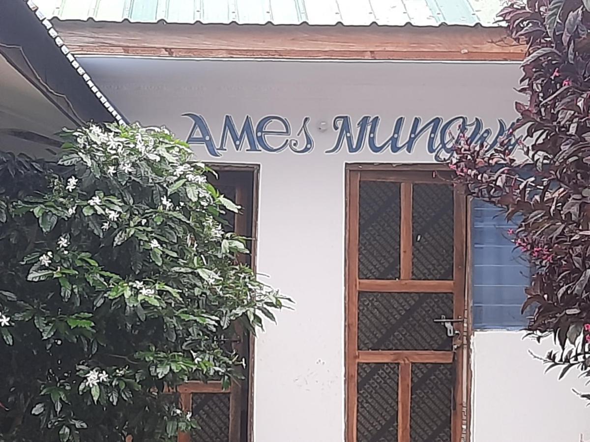 Ames Nungwi Bed & Breakfast Ngoại thất bức ảnh