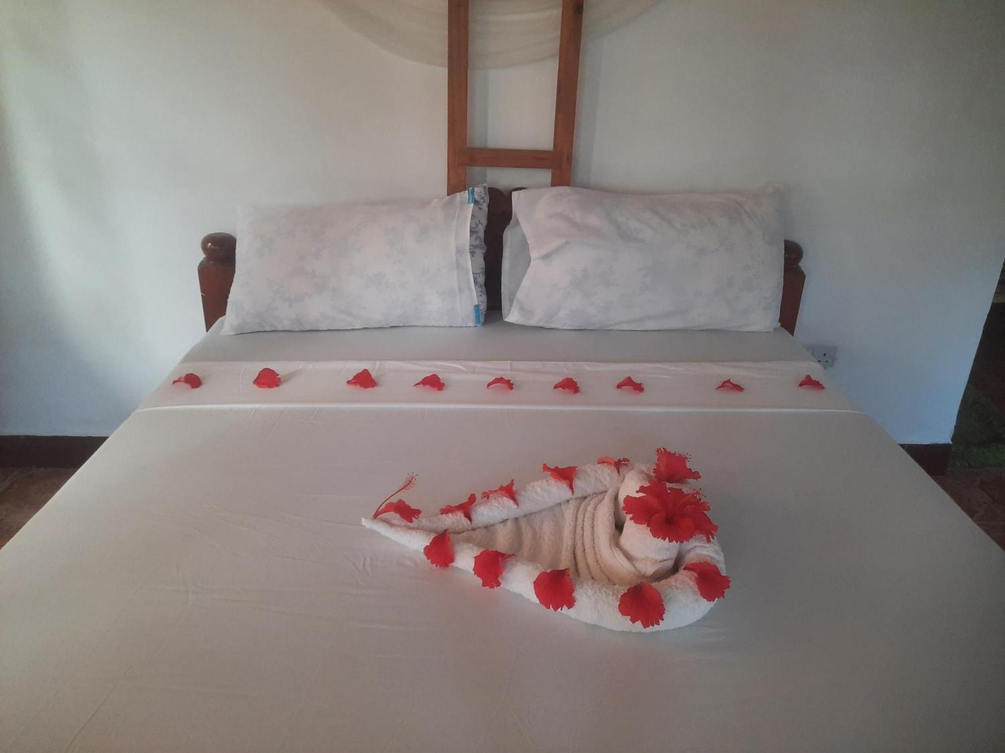 Ames Nungwi Bed & Breakfast Ngoại thất bức ảnh